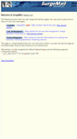 Mobile Screenshot of mail.iceweb.net